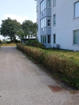 Ny-utemiljo-for-marklagenhet-fore-3