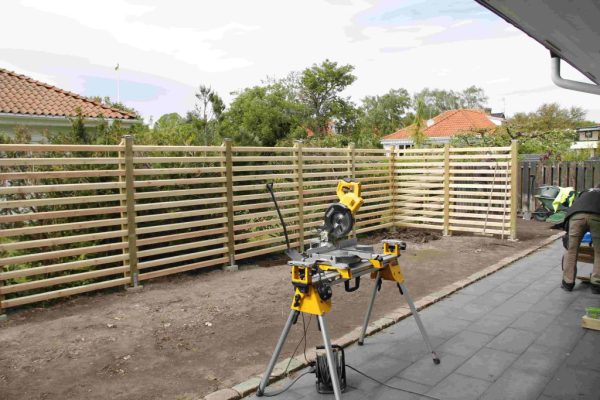 efter-plantering-1 efter-plantering-1