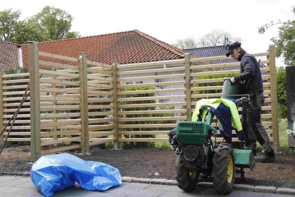 efter-plantering-2 efter-plantering-2