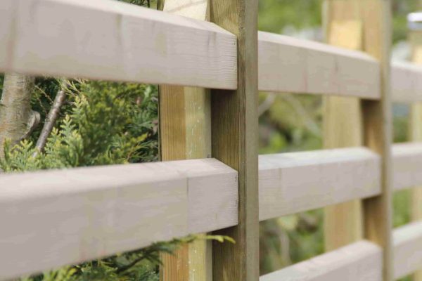 efter-plantering-3 efter-plantering-3