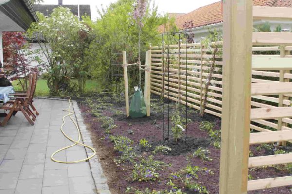 efter-plantering-6 efter-plantering-6