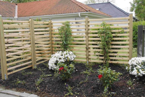 efter-plantering-7 efter-plantering-7