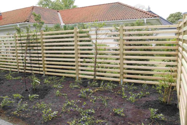 efter-plantering-8 efter-plantering-8