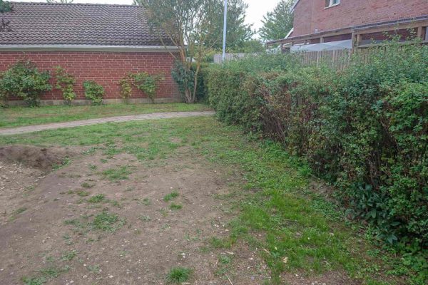 fore-2 (1) fore-2 (1)